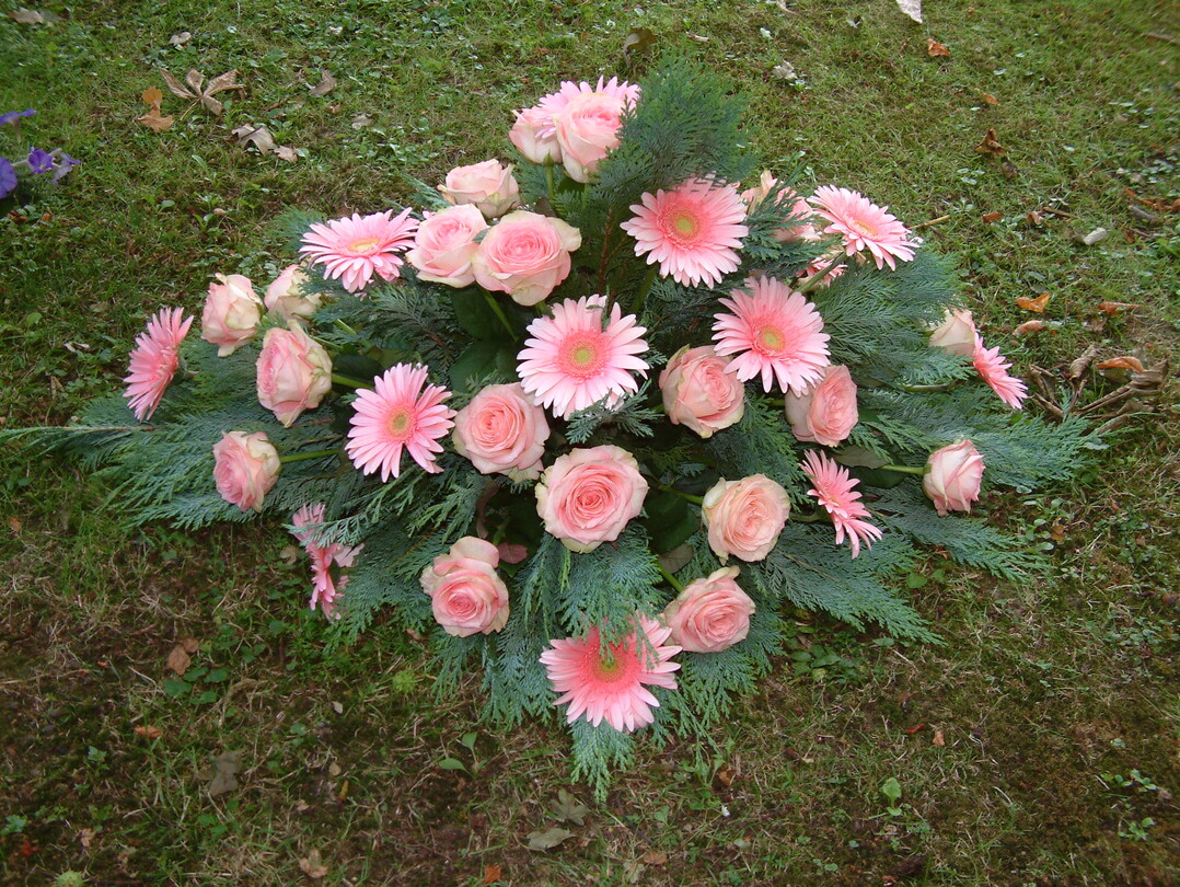Rosa und rote Rosen haben auf dem Friedhof in Neustrelitz aktuell deutlich bessere Chancen als weiße.