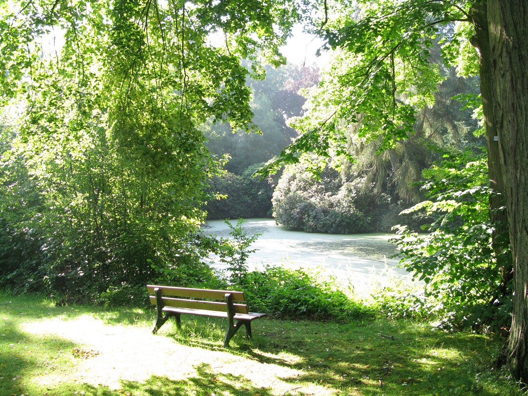 Der Südteich ist Startpunkt der Südachse, auf der ein großer Teil der Veranstaltungen beim Bürgerfest stattfinden soll.