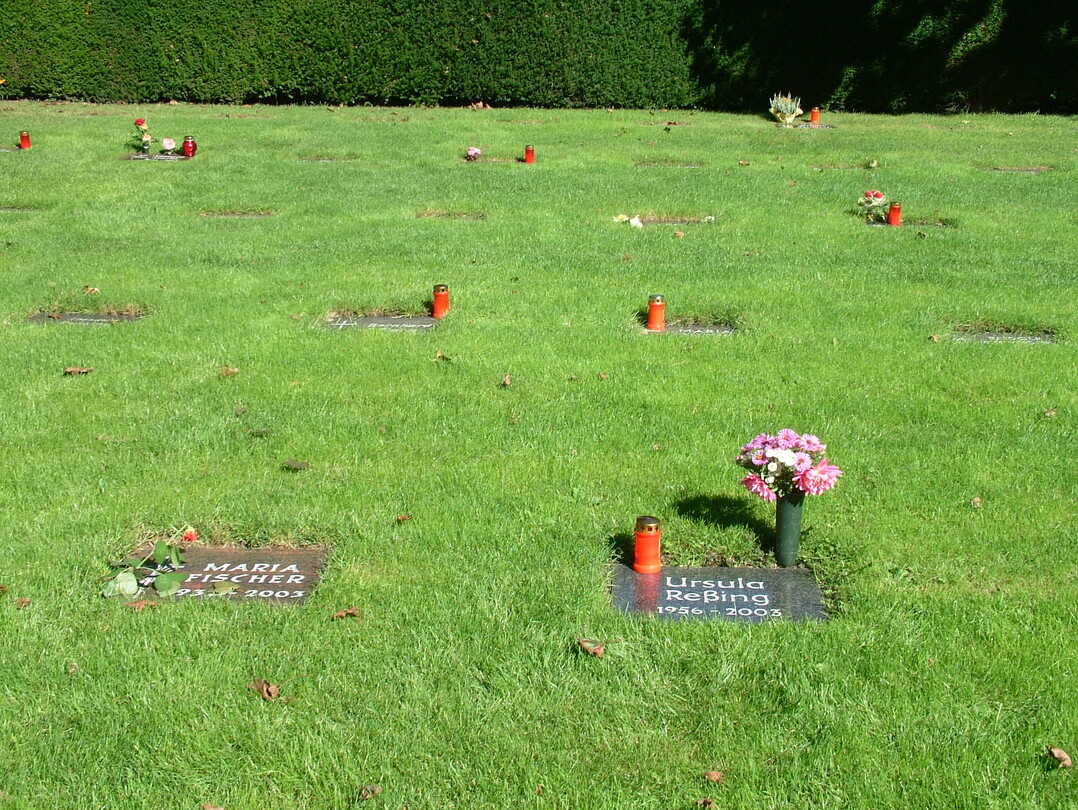 Rasengräser und Blumenwiesen sorgen dafür, dass auf immer mehr Friedhöfen Überhangflächen entstehen, die anders genutzt werden müssen.
