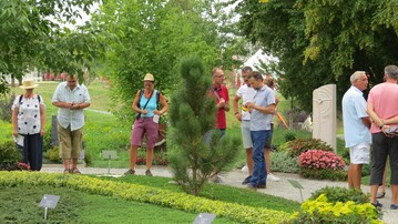 Die Teilnehmer des BdF-Arbeitskreises Pflanze tauschten sich whrend des Besuchs der Landesgartenschau Wrzburg 2018 ber Vor- und Nachteile von Stauden als Grabbepflanzung aus.