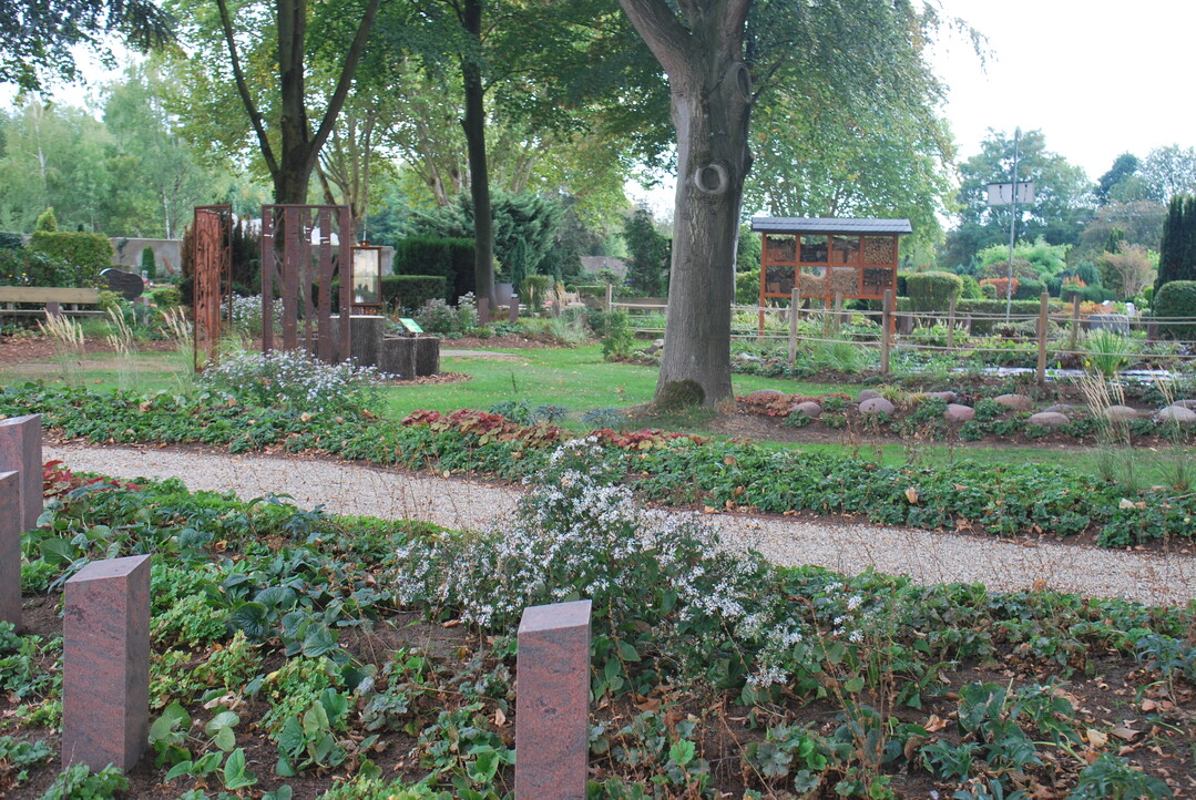 In Gelsenkirchen ist das erste NaturRuh-Feld in der Praxis entstanden.