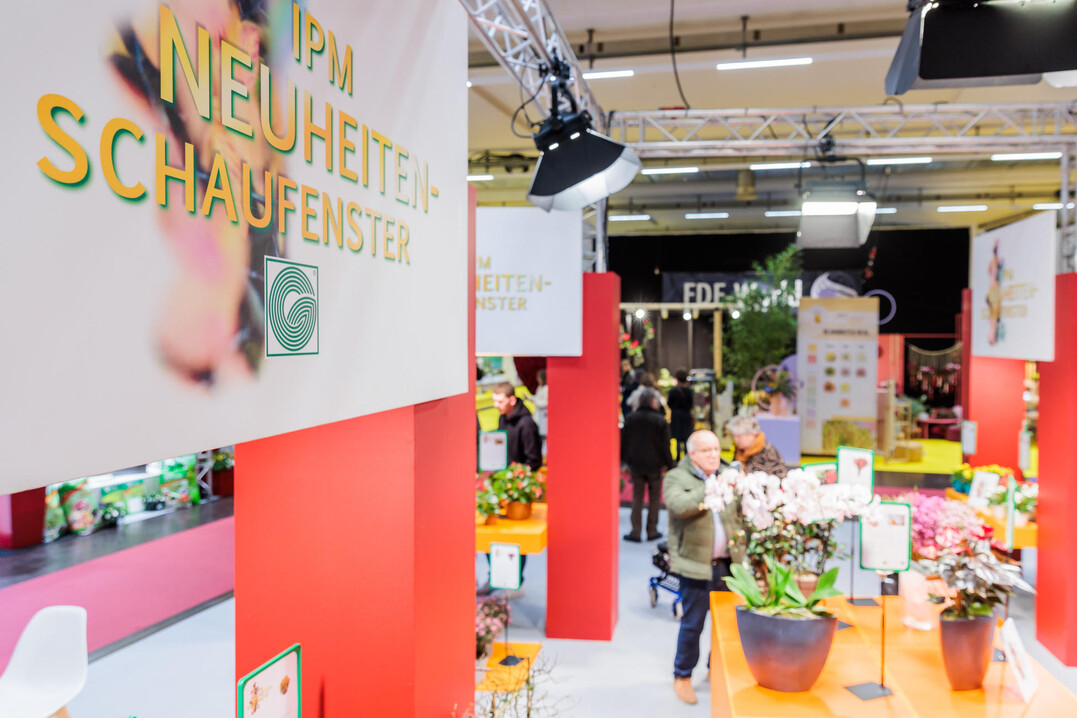 Attractive new products in eight categories will once again be exhibited in Hall 1A. The winning plants have already been announced.