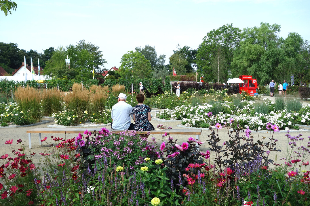 Noch bis Sonntag kann man die Farbenfülle im Generationenpark genießen
