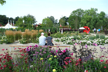 Noch bis Sonntag kann man die Farbenflle im Generationenpark genieen