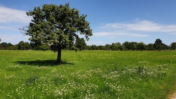 Der gemeinsame Vorschlag von Landwirtschafts- und Umweltminister sieht eine Mengenreduktion chemisch-synthetischer Pflanzenschutzmittel um 40 bis 50 Prozent bis zum Jahr 2030 vor.