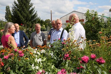 v.l.n.r.) Kathrin Ziegengeist (Inhaberin der Grtnerei Ziegengeist), Tobias Muschalek (Geschftsfhrer des Landesverbandes Gartenbau Sachsen e.V.), Winfried Kaiser (Prsident des Landesverbandes Gartenbau Sachsen e.V.), Michael Luther (CDU-Stadtrat Zwickau), Dr. Peter Jahr (CDU, MdEP), Gerald Otto (CDU MdL). 