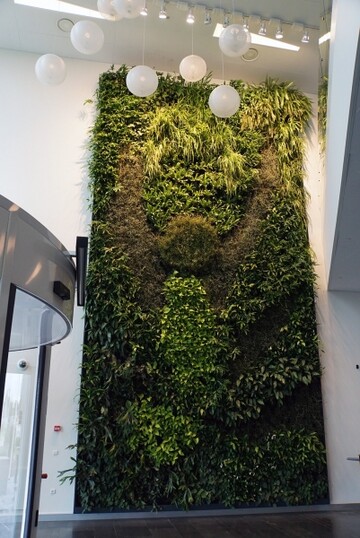  Die Grne Wand im Einkaufszentrum Caroli in Malm