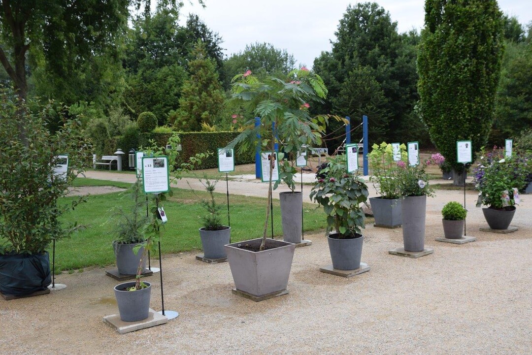 Das „Trend- und Neuheitenschaufenster“ im Park der Gärten in Bad Zwischenahn.