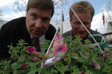 Andreas Lohff (li.) und Thomas Heinemann vom Gartenbauverband Nord freuen sich ber die Pflanze des Jahres im Norden 2010, die Petunie "Pretty Much Picasso", die am 24.4. erstmalig prsentiert wurde.