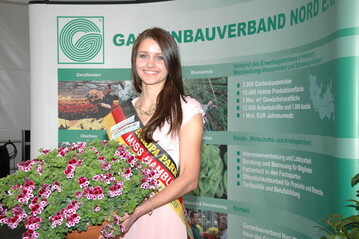 Als Pflanze des Jahres im Norden kann sich Pelargonie "Lillibet" ber viele Verehrer freuen. 