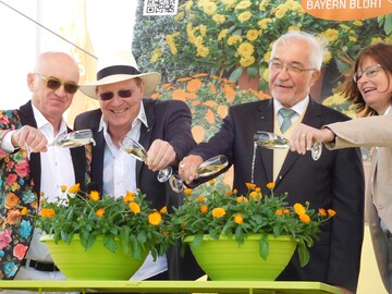 Auf der Landesgartenschau Wrzburg taufte Regierungs-prsident Dr. Paul Beinhofer den Luggi, die Bayerische Pflanze des Jahres 2018 im Beisein von Friedrich Reim, BGV-Bezirks-vorsitzender fr Unterfranken, Jrgen Herrmannsdrfer, BGV-Vizeprsident, und Karin Huner, stellvertretende Landrtin. 