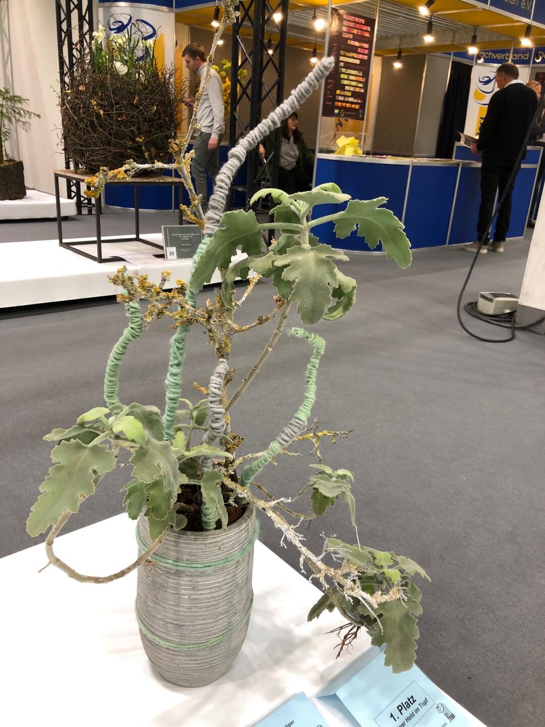 1. Platz Grner Held im Topf / 1st place Green hero in the pot: Sina Krger.