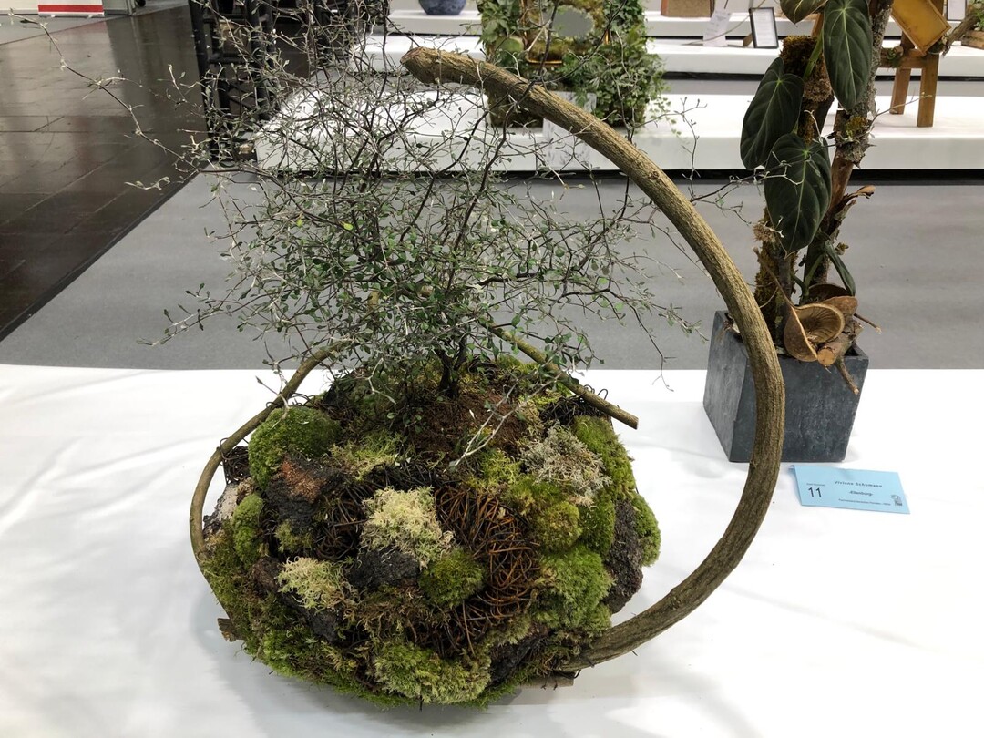 2. Platz Grner Held im Topf / 2nd place Green hero in the pot: Merle Ldige.