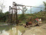 Reisanbau in Vietnam. Oft steht auch heute an den Feldern noch kein elektrischer Anschluß oder Generator für den Betrieb von Pumpen zur Verfügung, so dass das Wasser aus Bächen oder Flüssen manuell geschöpft wird oder wie auf unserem Foto mit riesigen Wasser-Schöpfrädern aus Bambus, die durch die Wasserströmung in Bewegung gehalten werden.