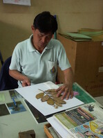 Der "Queen Sirikit Botanic Garden" ist für das Herbarium der Flora Nord-Thailands zuständig. Es beherbergt das drittgrösste Herbarium Thailands mit über regionalen 20000 Species. Die Flora Thailands ist immer noch nicht vollständig erforscht und beschrieben. Fast wöchentlich werden neue Species entdeckt