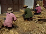 Die Reisernte war während meines Besuchs in vollem Gange. Die Körner werden hier immer noch mit der Hand aus den Garben geschlagen. Eine Arbeit, vor allem für die älteren Dorfbewohner.