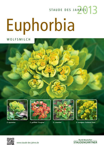 Staude des Jahres 2013: Euphorbia. Das Poster und andere Werbemittel zeigen die Artenvielfalt der charaktervollen Stauden. 