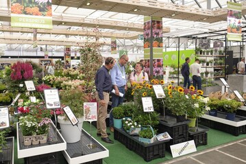 Die wegen ihres umfangreichen Gehlze- und Staudensortiments beliebte Plantarium wird 2020 nicht stattfinden