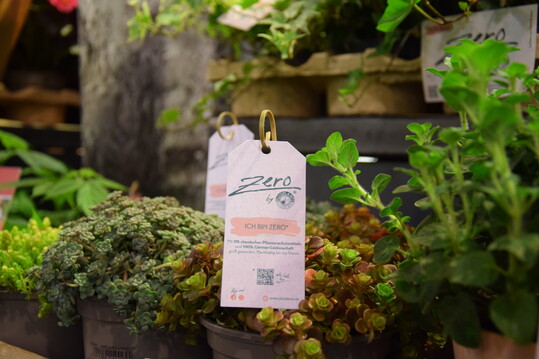 Zero ist das neue Motto von PlusPlants. Das
bedeutet: 0% chemischer Pflanzenschutz, dafr
100% Grtner-Leidenschaft. Jeder der neun Betriebe bietet mindestens ein Produkt an, das ohne
Pflanzenschutzmittel produziert wurde. Das Thema
Nachhaltigkeit erstreckt sich noch weiter: Die Tpfe sind aus recyclingfhigem Kunststoff, der Torfersatzanteil steigt stetig an, Verpackungen werden
als Ecotray angeboten, Etiketten sind aus Graspapier.
Auerdem fhren die Betriebe ein freiwilliges Rckstandsmonitoring durch.