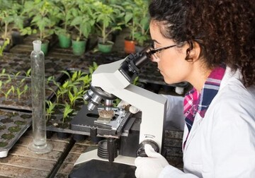Torfersatzstoffe haben andere Eigenschaften als Torf. Fr den Torfausstieg im Gartenbau gilt es, noch viele Aspekte zu erforschen. Foto: 