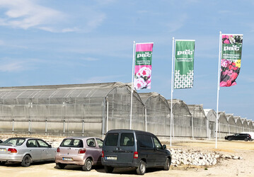 Elsner pac Sdbetrieb in Portugal.