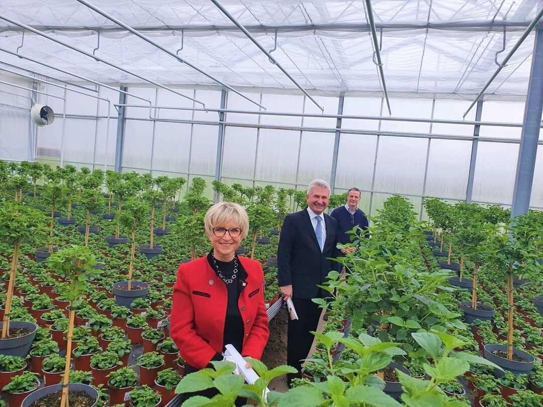NRW-Wirtschaftsminister Andreas Pinkwart (Mitte) im Gesprch mit Gartenbauunternehmer Frank Werner (re.) und Eva Khler-Theuerkauf, Prsidentin Landesverband Gartenbau NRW.   
