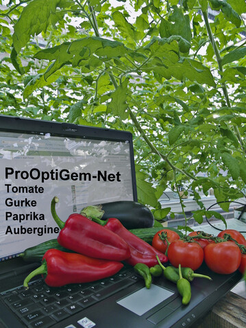 Als eine Mglichkeit der Fortbildung ist an der Hochschule Weihenstephan-Triesdorf (HSWT) das Projekt ProOptiGem-Net (Produktionsoptimierung des Fruchtgemseanbaus Unterglas  Netzwerk) als Online-Schulung fr Mitarbeiter und Kulturverantwortliche in Gartenbaubetrieben entstanden. Der Fokus der sechsmonatigen berufsbegleitenden Fortbildung lag auf den Unterglas-Kulturen Tomate, Salatgurke und Paprika. 