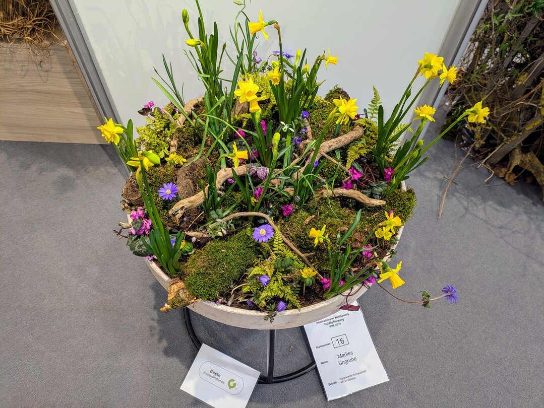 Award-winning talent: Marlies Ungruhe from Gartencenter Schrieverhof won the title of Best Apprentice with her container planting.