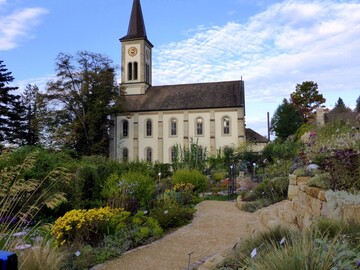 Eingebettet in eine schne Landschaft oder vor einem beeindruckenden Hintergrund wirken Staudengrtnereien mit Endverkauf noch einmal so gut, wie hier in Sulzburg-Laufen.
