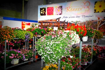 sterreich: Die Gartenbau Agentur Renner und Florensis arbeiten zusammen