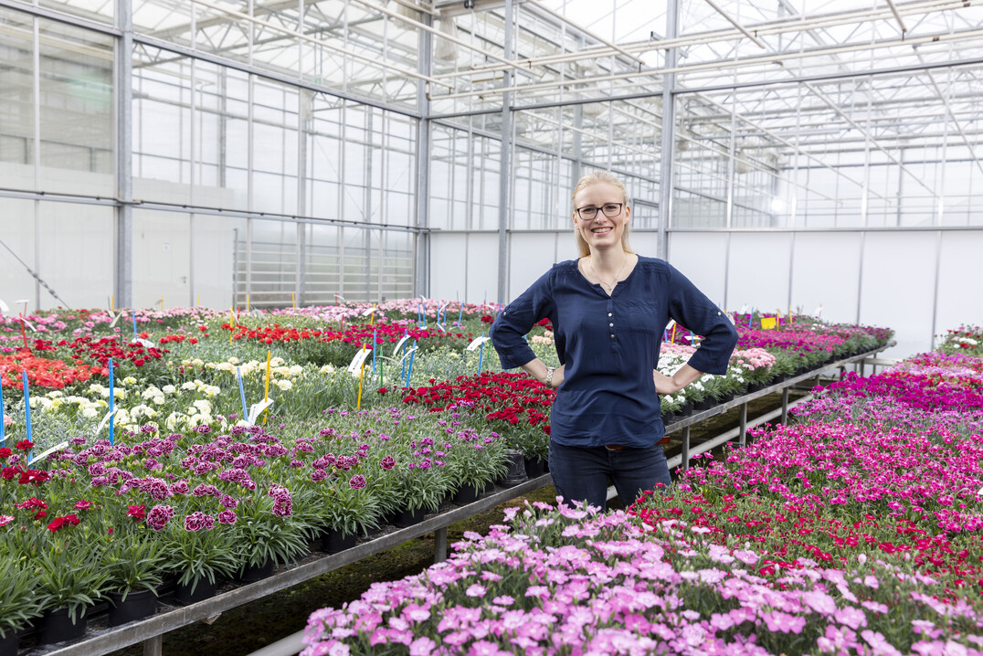 Züchterin Jasmin Hoim von Elsner pac rückt die Topfnelken ins Rampenlicht.