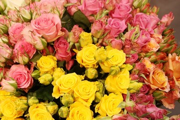 Kein Valentinstag ohne Rosen! Nach wie ist die Knigin der Blumen in allen Farben der Verkaufsschlager am Tag der Verliebten.