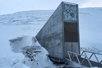 Genbank in Norwegen: Im Permafrost auf Spitzbergen lagert wertvolles Saatgut in einem Tresor.