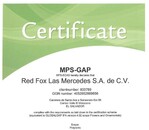 Der Dümmenbetrieb in San Salvador erhielt nun das MPS-GAP-Zertifikat.