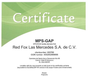Der Dmmenbetrieb in San Salvador erhielt nun das MPS-GAP-Zertifikat.