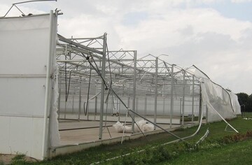 Zu erheblichen Schden an einem Foliengewchshaus mit F-Clean-Eindeckung fhrte das Unwetter vom 12. Juli - hier vermutlich durch einen eingelagerten Tornado - im Kreis Viersen.