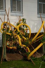 Impressionen aus der „Blumenhalle im Wandel“.