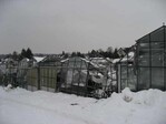 Schneelast mit Folgen: Total zerstörtes Gewächshaus im Raum Lübeck