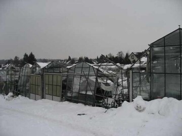 Schneelast mit Folgen: Total zerstrtes Gewchshaus im Raum Lbeck