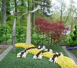 <strong>Aussteller:</strong> Timme, Bonn
<br/><strong>Grabart:</strong> Zweistelliges Wahlgrab
<br/><strong>Rahmenbepflanzung:</strong> Acer palmatum
<br/><strong>Bodendecker:</strong> Euonymus fortunei "Emerald’n Gold", Cotoneaster danneri "Frieders’s Evergreen"
<br/><strong>Wechselbeet Frühling:</strong> Stiefmütterchen, kleinblumig
<br/><strong>Bewertung:</strong> Große Goldmedaille