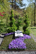 <strong>Aussteller:</strong> Gärtnerei Milius, Neukirch / Lausitz
<br/><strong>Grabart:</strong> Einstelliges Wahlgrab
<br/><strong>Rahmenbepflanzung:</strong> Buxus sempervirens
<br/><strong>Bodendecker:</strong> Cotoneaster dammeri "Frieder’s Evergreen"
<br/><strong>Wechselbeet Frühling:</strong> Stiefmütterchen, kleinblumig
<br/><strong>Bewertung:</strong> Silber