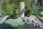 <strong>Aussteller:</strong> Blumen Kaffka, Essen
<br/><strong>Grabart:</strong> Zweistelliges Wahlgrab
<br/><strong>Rahmenbepflanzung:</strong> Taxus cuspidata "Nana"
<br/><strong>Bodendecker:</strong> Podocarpus nivalis, Euonymus fortunei "Emerald Gaiety"
<br/><strong>Wechselbeet Frühling:</strong> Stiefmütterchen, kleinblumig, Gänseblümchen, Vergissmeinnicht
<br/><strong>Bewertung:</strong> Gold