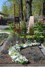 <strong>Aussteller:</strong> Stüber, Neumünster
<br/><strong>Grabart:</strong> Einstelliges Wahlgrab
<br/><strong>Rahmenbepflanzung:</strong> Orphiopogon planiscapus "Nigrescens", Paulownia fortunei "Fastigiata Bleu"
<br/><strong>Bodendecker:</strong> Leptinella squalida (Cotula squalida) "Platt’s Black", Corokia cotoneaster
<br/><strong>Wechselbeet Frühling:</strong> Stiefmütterchen, kleinblumig, Schachbrettblume, Steinbrech
<br/><strong>Bewertung:</strong> Gold