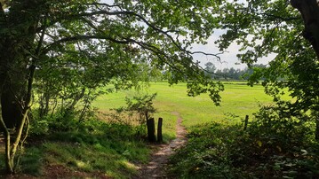 Schattige Pltze in Garten und Natur waren in diesem Sommer besonders gefragt