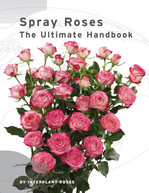 Neuer Sprayrosen-Katalog