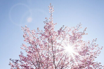 Deutschlandwetter im Frhling 2022 war sehr sonnig.