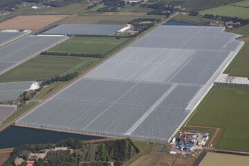 Square Crops 1: Paprikapflanzen mgen Wrme und gedeihen am besten unter Ein-fachverglasungen. Von der Geothermie versprechen sich die Betreiber groer Ge-wchshuser daher wirtschaftliche Vorteile. 
