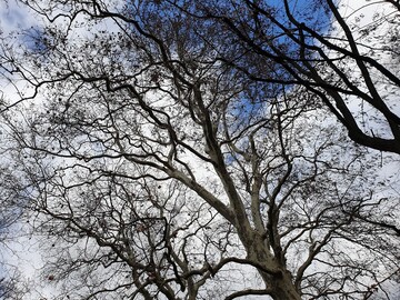 Sturmtief Eberhard sorgte auch im Gartenbau fr Schden, die glcklicherweise berschaubar blieben