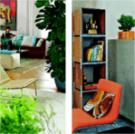 Heute sind Zimmerpflanzen lebendiges Grün im Wohnzimmer (links), in den 70er-Jahren waren sie noch reines Deko-Element