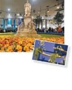 Großes Bild: Goethedenkmal in der Blumenhalle während der „Grünen Woche“ in Berlin
Kleines Bild: Floristik im blauen Kabinett